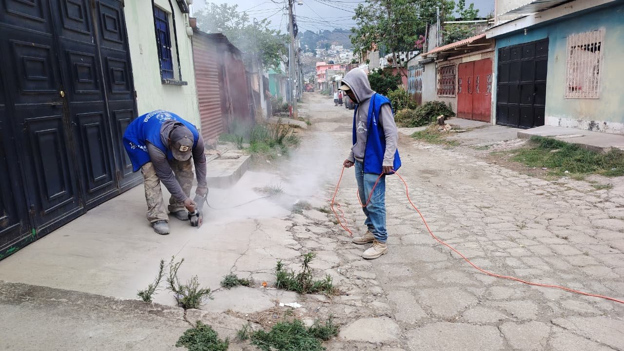 Avance de obra del 12/06/2026 — foto 3